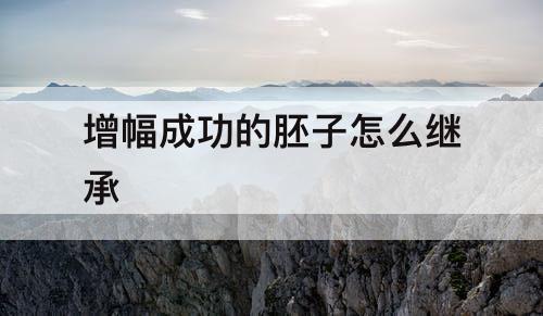 增幅成功的胚子怎么继承