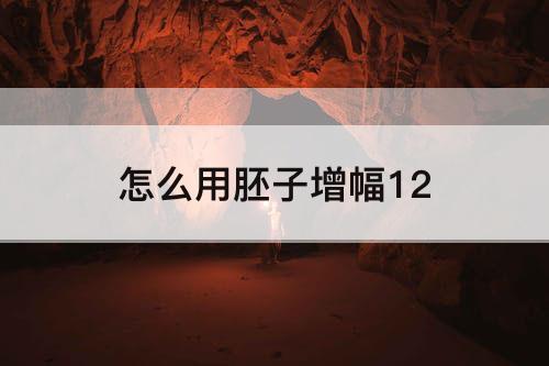 怎么用胚子增幅12