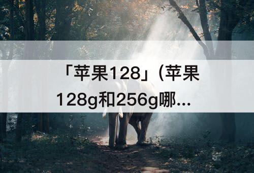 「苹果128」(苹果128g和256g哪个更实用)