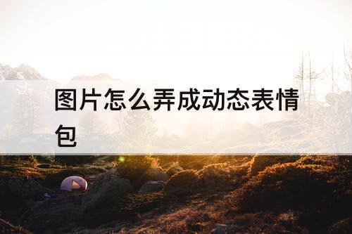 图片怎么弄成动态表情包