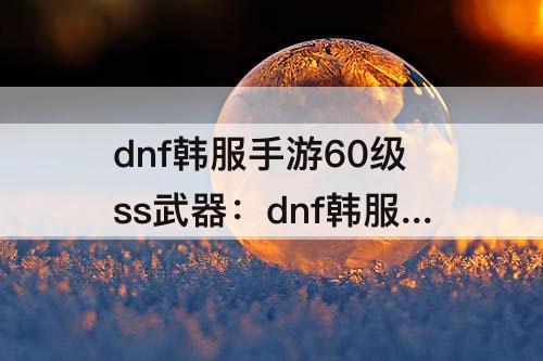 dnf韩服手游60级ss武器：dnf韩服手游60级ss武器哪个好