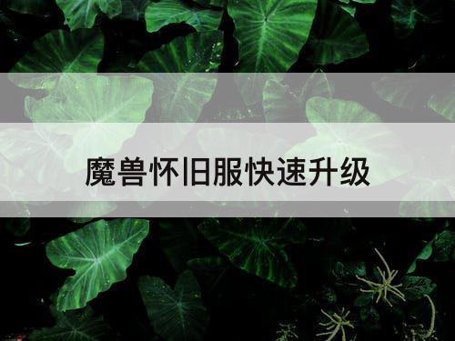 魔兽怀旧服快速升级