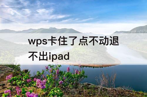 wps卡住了点不动退不出ipad