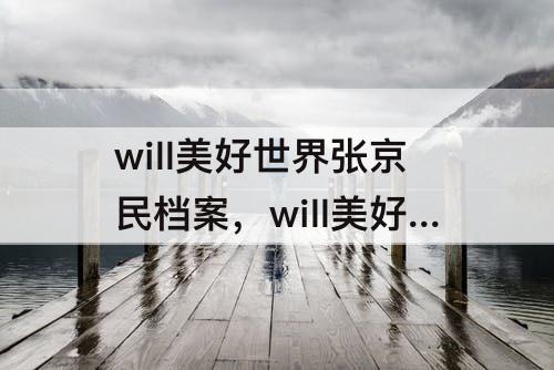 will美好世界张京民档案，will美好世界张京民档案2