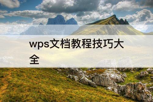 wps文档教程技巧大全