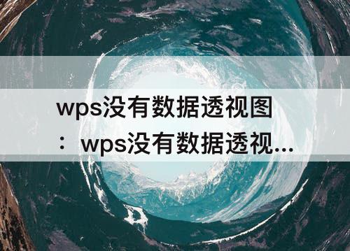 wps没有数据透视图：wps没有数据透视图选项