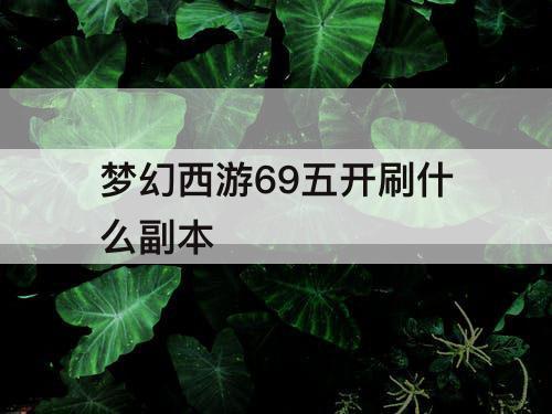 梦幻西游69五开刷什么副本
