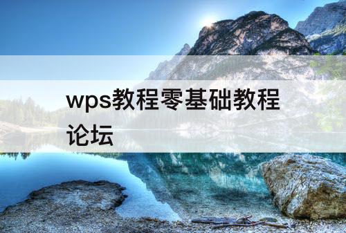 wps教程零基础教程论坛