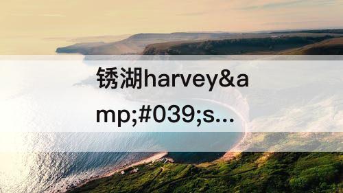 锈湖harvey&#039;s box苍蝇