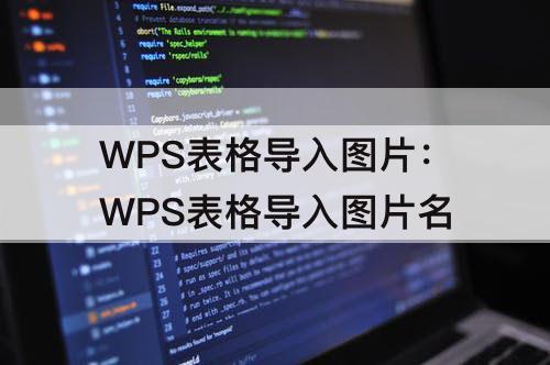 WPS表格导入图片：WPS表格导入图片名