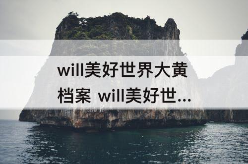 will美好世界大黄档案 will美好世界大黄档案第三条