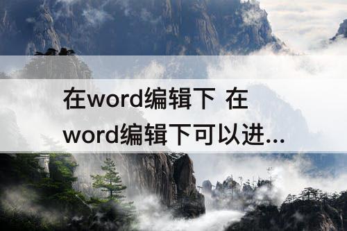 在word编辑下 在word编辑下可以进行的操作是