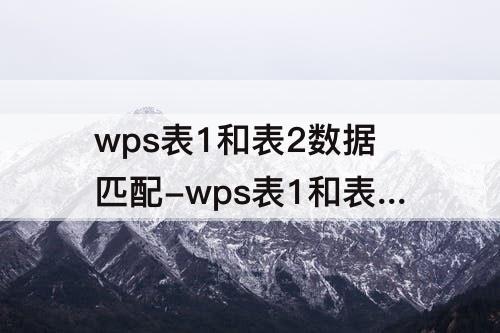 wps表1和表2数据匹配-wps表1和表2数据匹配 为什么没有精确查找