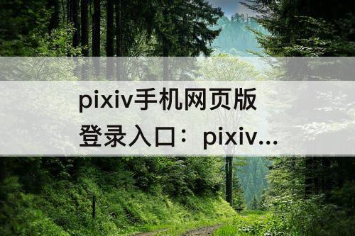 pixiv手机网页版登录入口：pixiv手机网页版登录入口打不开