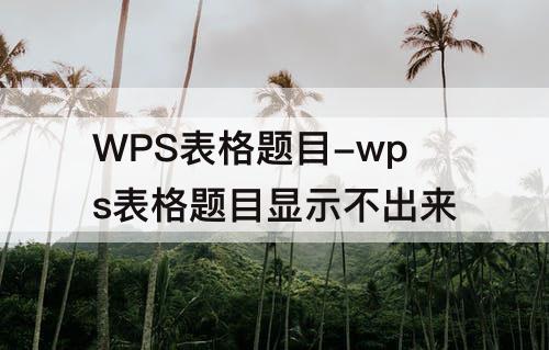 WPS表格题目-wps表格题目显示不出来