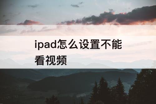ipad怎么设置不能看视频