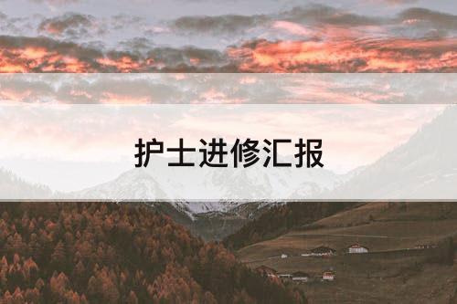 护士进修汇报