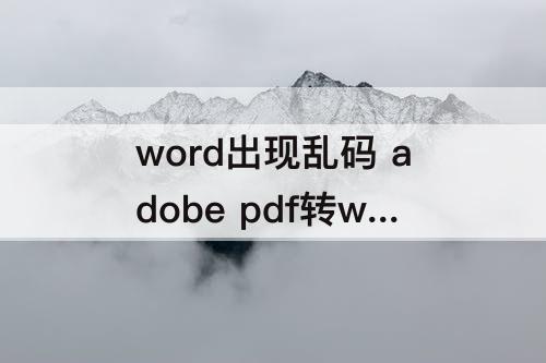 word出现乱码 adobe pdf转word出现乱码