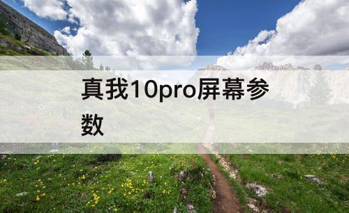 真我10pro屏幕参数
