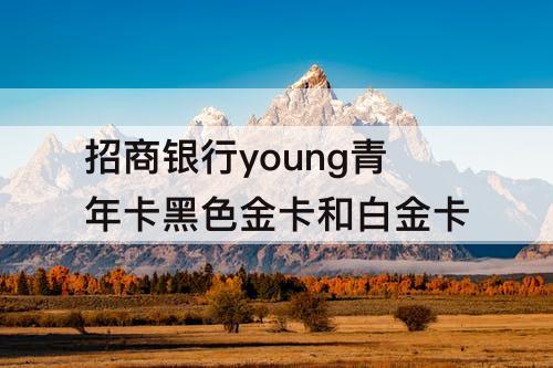 招商银行young青年卡黑色金卡和白金卡