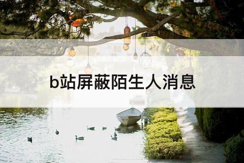 b站屏蔽陌生人消息