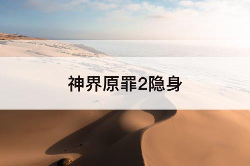 神界原罪2隐身
