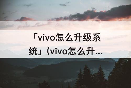 「vivo怎么升级系统」(vivo怎么升级系统8.0)