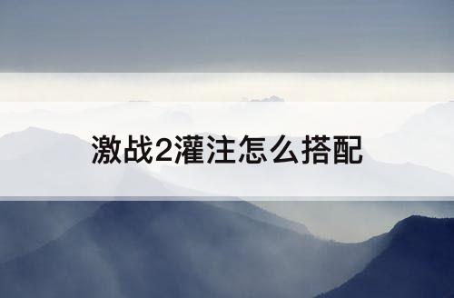 激战2灌注怎么搭配