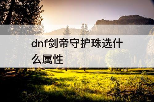 dnf剑帝守护珠选什么属性