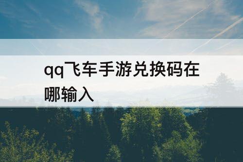 qq飞车手游兑换码在哪输入