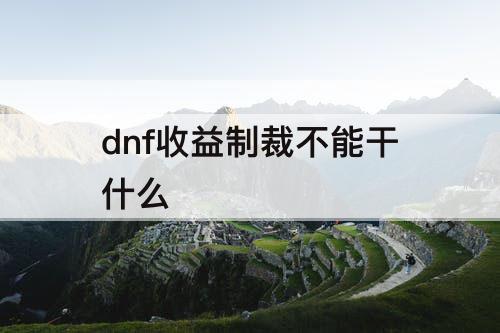 dnf收益制裁不能干什么
