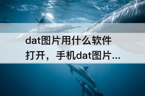 dat图片用什么软件打开，手机dat图片用什么软件打开