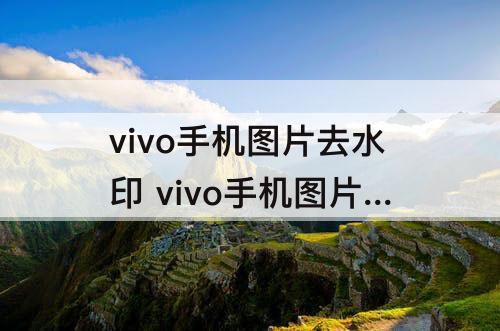 vivo手机图片去水印 vivo手机图片去水印的方法