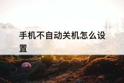 手机不自动关机怎么设置