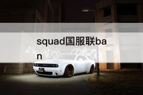 squad国服联ban