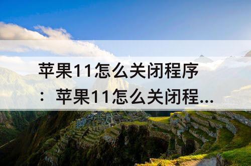 苹果11怎么关闭程序：苹果11怎么关闭程序显示图标