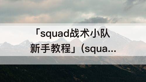 「squad战术小队新手教程」(squad战术小队新手教程怎么过)