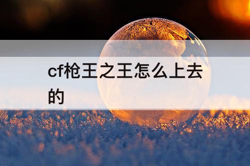 cf枪王之王怎么上去的