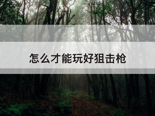 怎么才能玩好狙击枪