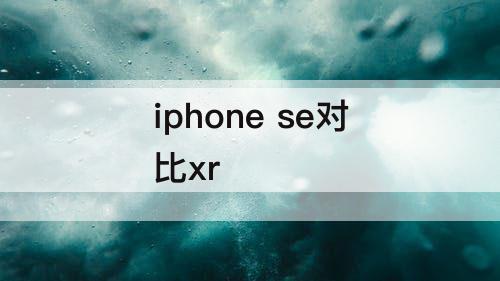 iphone se对比xr