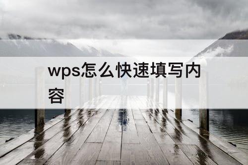 wps怎么快速填写内容