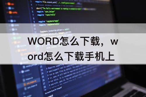 WORD怎么下载，word怎么下载手机上