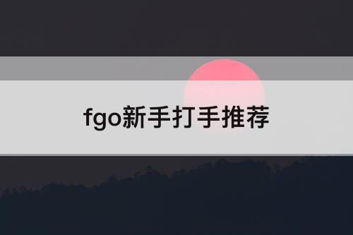 fgo新手打手推荐