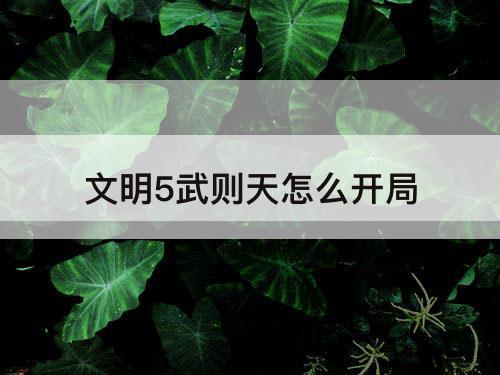 文明5武则天怎么开局