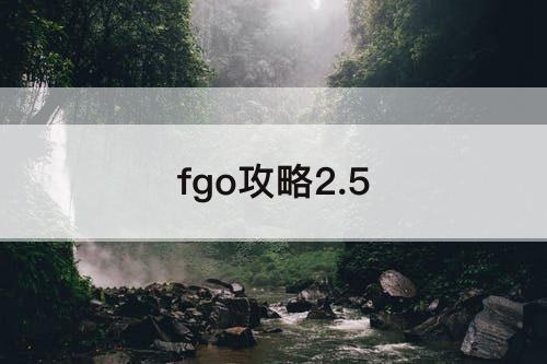 fgo攻略2.5
