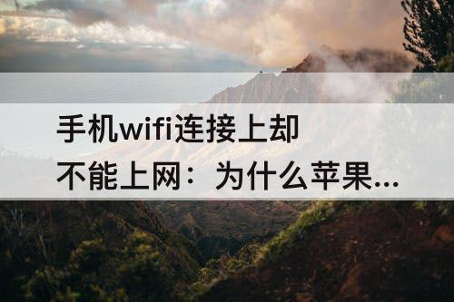 手机wifi连接上却不能上网：为什么苹果手机wifi连接上却不能上网