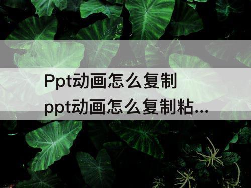 Ppt动画怎么复制 ppt动画怎么复制粘贴