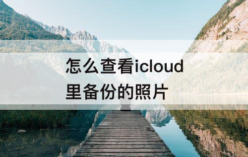 怎么查看icloud里备份的照片