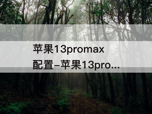 苹果13promax配置-苹果13promax配置图片
