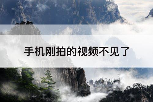 手机刚拍的视频不见了